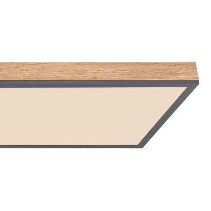 Globo - Iluminação de teto LED com regulação LED/36W/230V 2700-6500K + comando castanho/cinzento