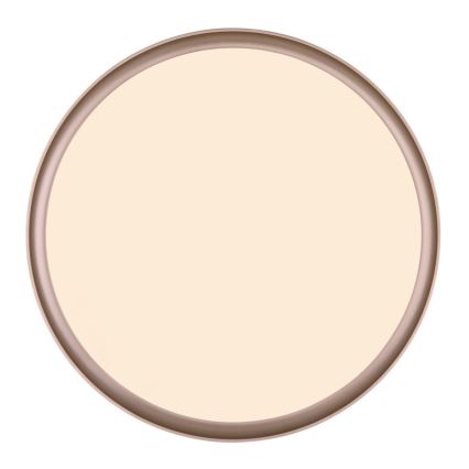 Globo - Iluminação de teto LED com regulação LED/24W/230V + controlo remoto