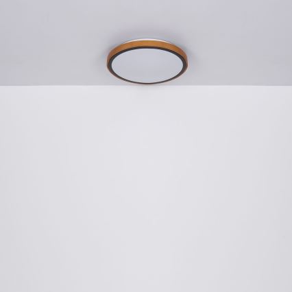 Globo - Iluminação de teto LED LED/12W/230V 307 mm 3000/4500/6000K