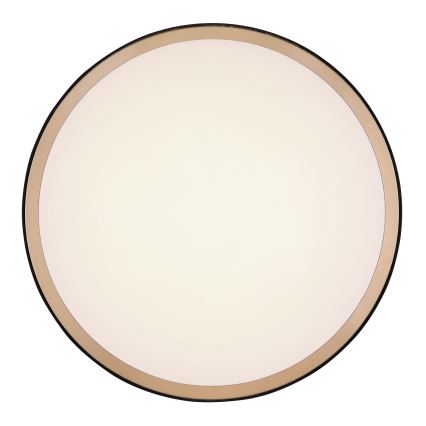 Globo - Iluminação de teto LED LED/12W/230V 3000/4500/6000K diâmetro 30 cm