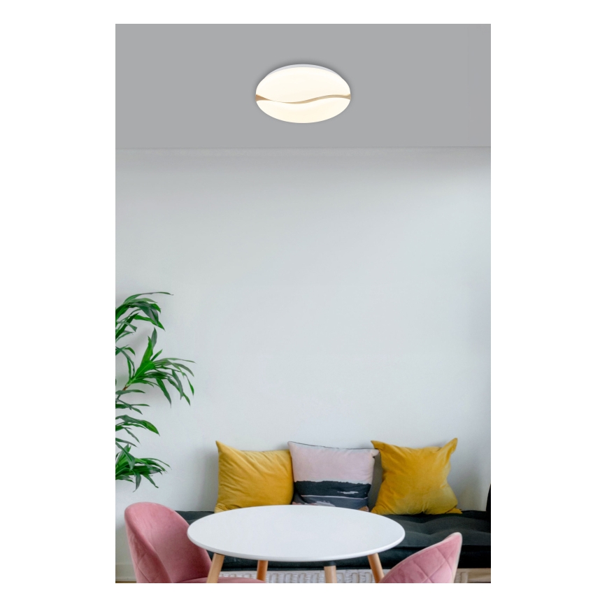 Globo - Plafon LED LED/24W/230V 3000/4200/6000K diâmetro 33 cm