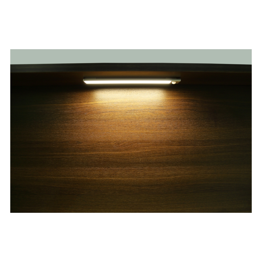 Globo - Luminária LED embutida recarregável com dimmer LED/2,5W/5V 4000K 1100 mAh 40 cm