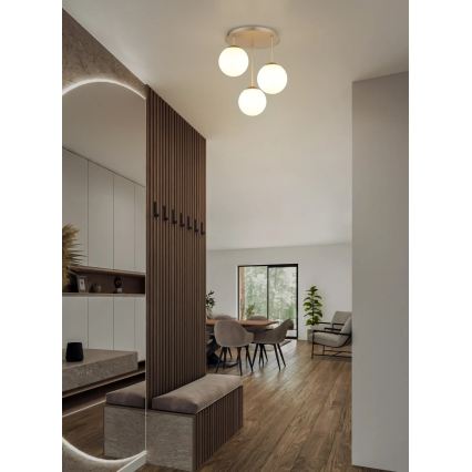 Globo - Lustre de tecto montado em superfície 3xE14/25W/230V latão