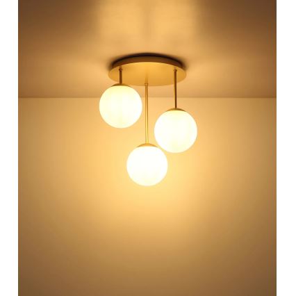Globo - Lustre de tecto montado em superfície 3xE14/25W/230V latão