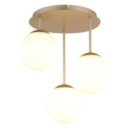Globo - Lustre de tecto montado em superfície 3xE14/25W/230V latão