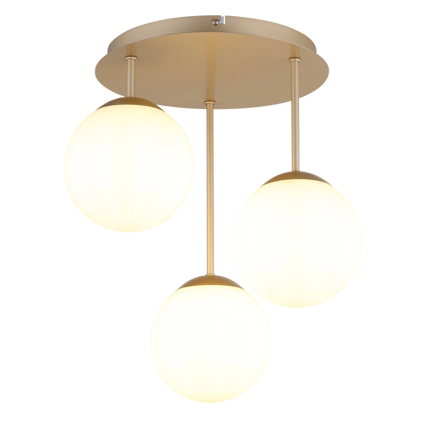 Globo - Lustre de tecto montado em superfície 3xE14/25W/230V latão
