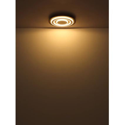 Globo - Iluminação de teto LED LED/24W/230V 3000K diâmetro 32 cm antracite