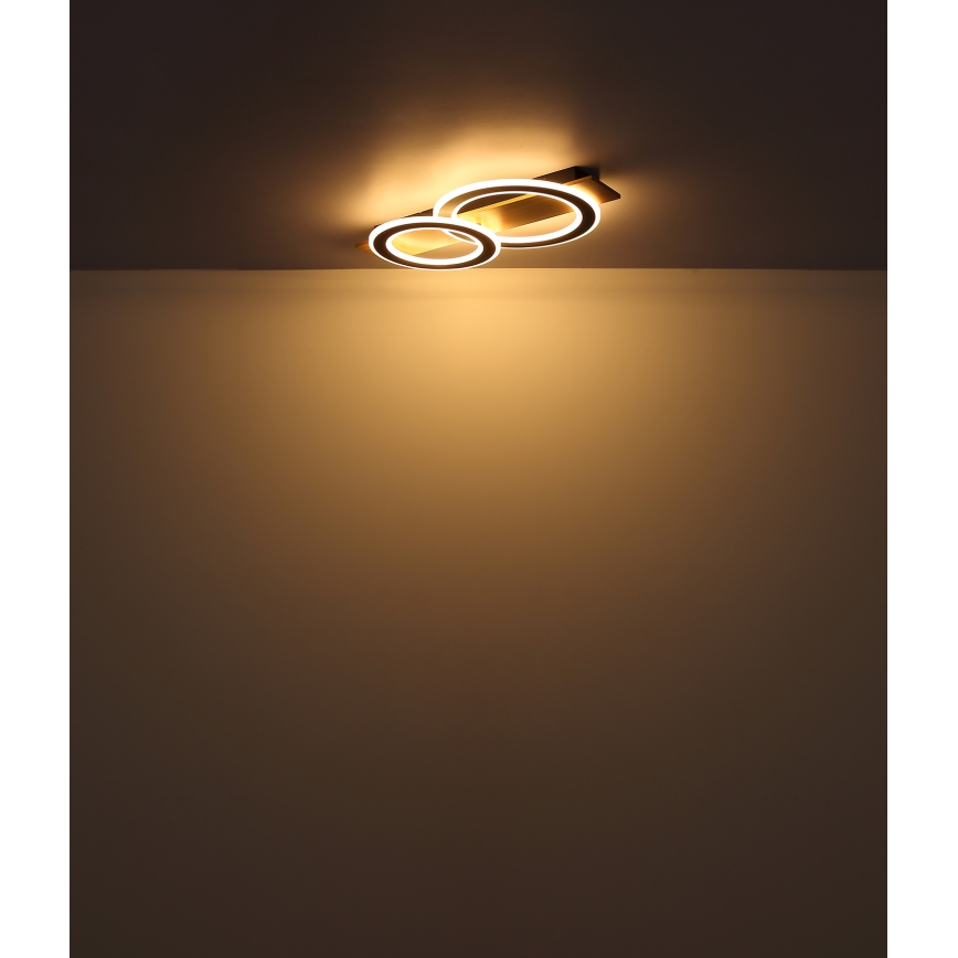 Globo - Iluminação de teto LED LED/40W/230V castanho