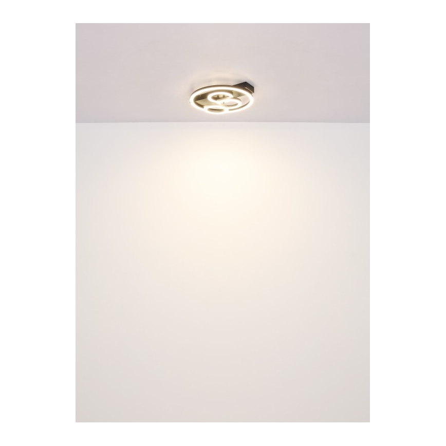 Globo - Candeeiro de tecto LED dimerizável LED/40W/230V 2700-6500K Ø 35x33 cm + comando remoto