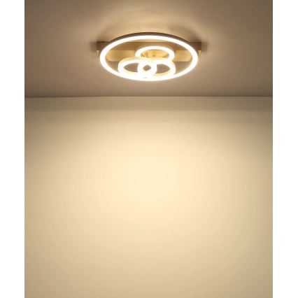Globo - Luminária de teto LED dimerizável LED/40W/230V 2700-6500K Ø 35x33 cm bege + controlo remoto