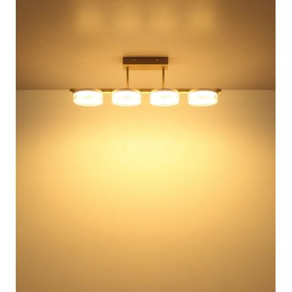 Globo - LED Lustre de teto de montagem superficial LED/24W/230V 3000K