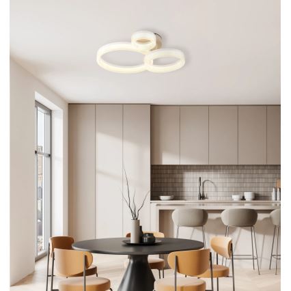 Globo - Plafon LED 24W/230V 3000K 40,5x51 cm