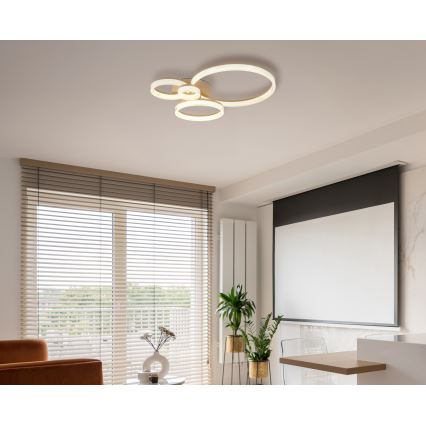 Globo - LED Candeeiro de tecto LED/40W/230V 3000K 64,5x75 cm