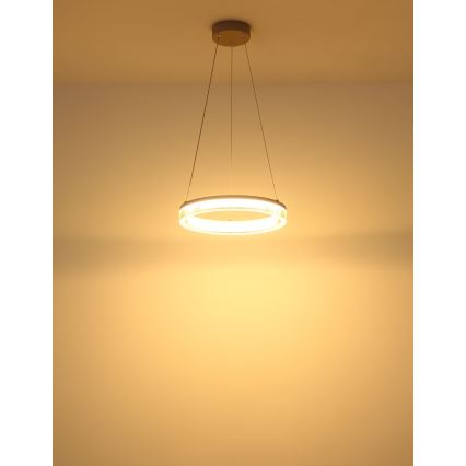 Globo - Lustre suspenso com cabo LED/16W/230V 3000K