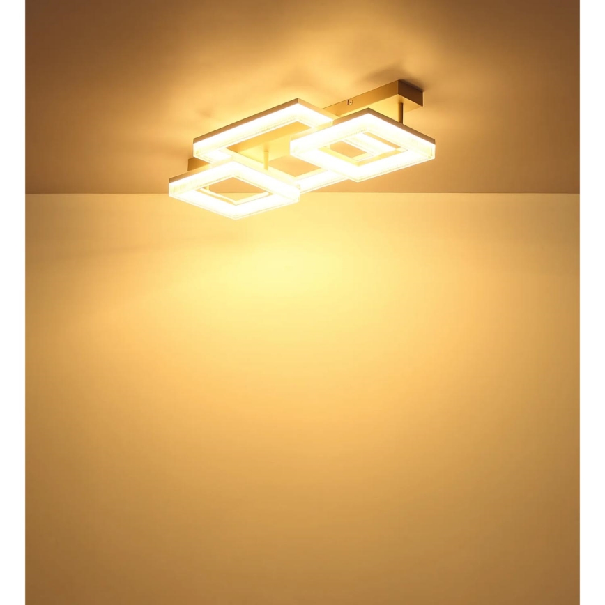 Globo - Luminária de Teto LED/40W/230V 3000K 33x66 cm