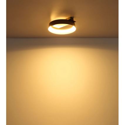 Globo - LED candeeiro de tecto LED/12W/230V 3000K 26x25 cm