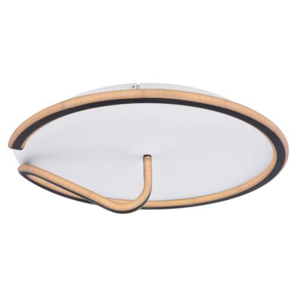 Globo - Iluminação de teto LED com regulação RODAN LED/50W/230V 3000-6000K + comando