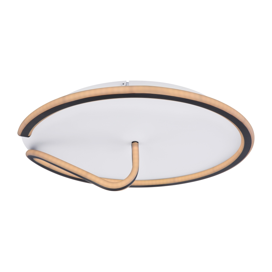 Globo - Iluminação de teto LED com regulação RODAN LED/50W/230V 3000-6000K + comando