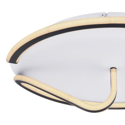 Globo - Iluminação de teto LED com regulação RODAN LED/50W/230V 3000-6000K + comando