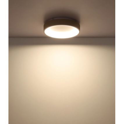 Globo - Candeeiro de teto LED dimerizável LED/36W/230V 2700-6000K Ø 38 cm + comando remoto