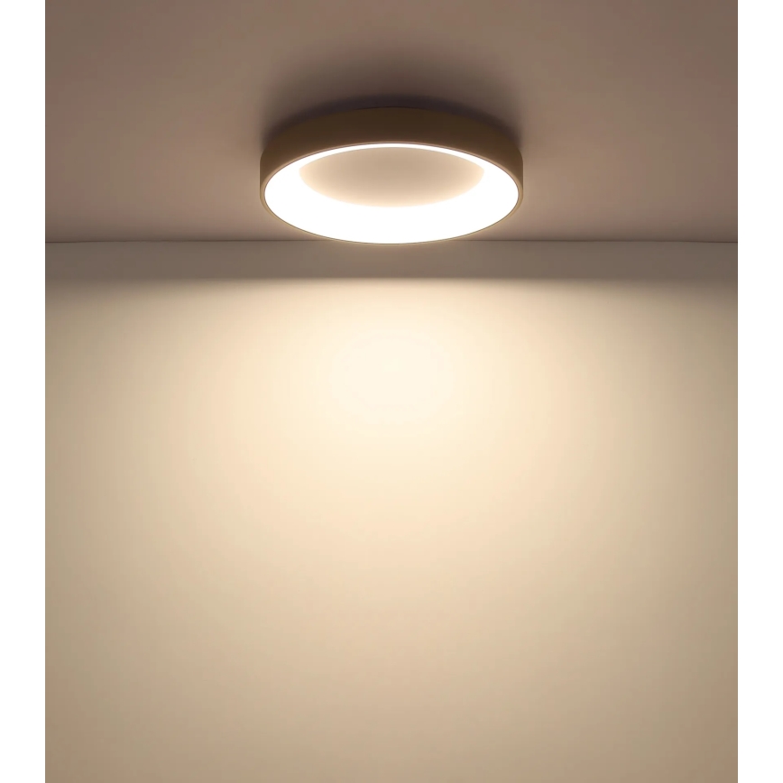 Globo - Candeeiro de tecto LED dimerizável LED/48W/230V 2700-6000K Ø 50 cm + controlo remoto