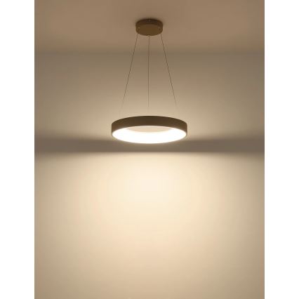 Globo - Lustre pendente dimmerizável em cabo LED/48W/230V 2700-6000K + comando remoto