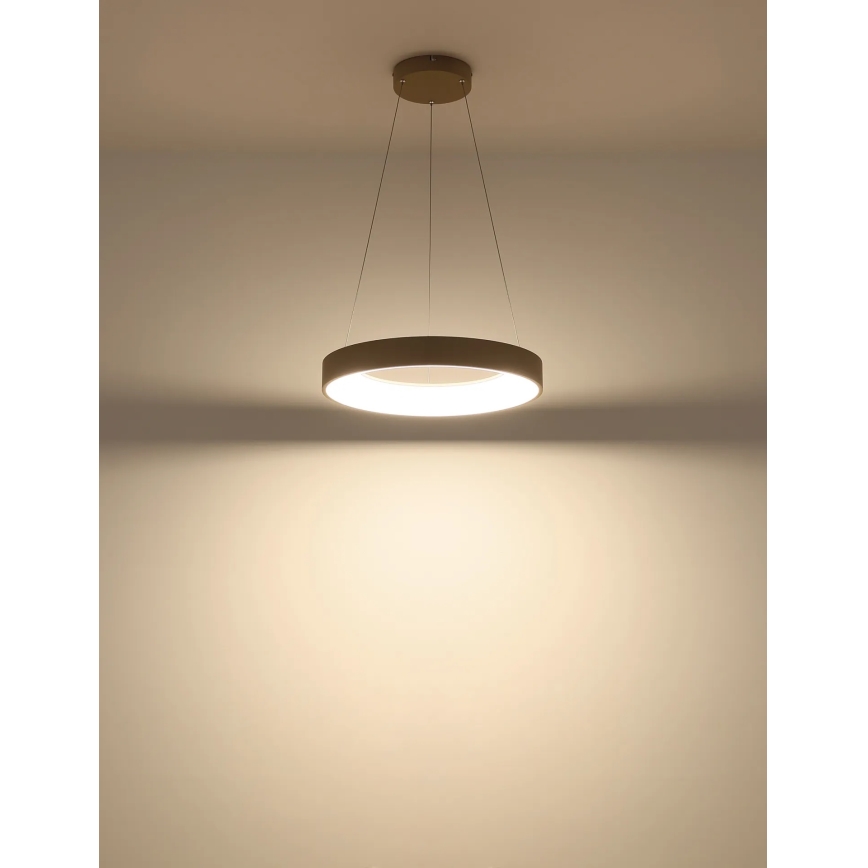 Globo - Lustre pendente dimmerizável em cabo LED/48W/230V 2700-6000K + comando remoto