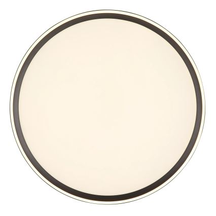 Globo - Iluminação de teto LED com regulação LED/48W/230V 2700-6000K + comando diâmetro 50 cm