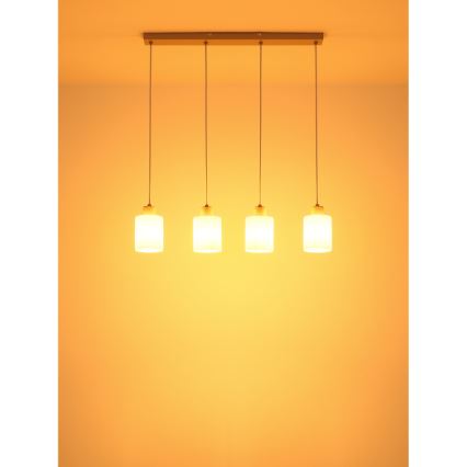 Globo - Lustre suspenso por cabo 4xE27/40W/230V