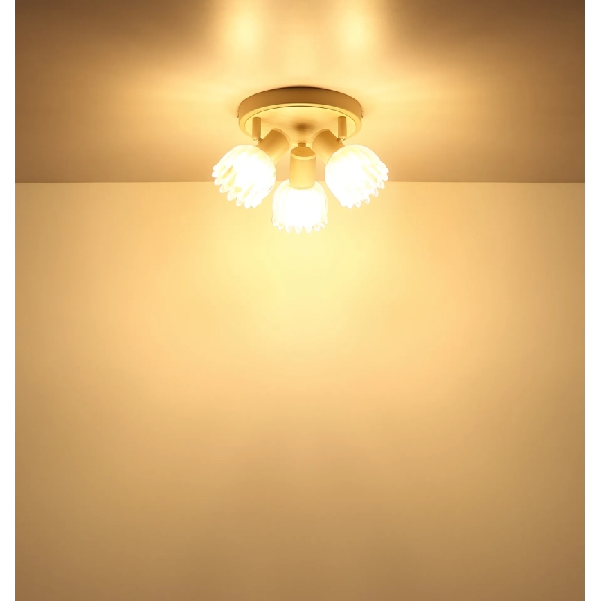 Globo - Candeeiro de focos 3xE14/40W/230V