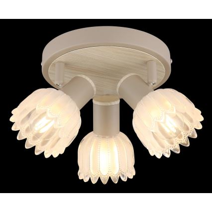 Globo - Candeeiro de focos 3xE14/40W/230V