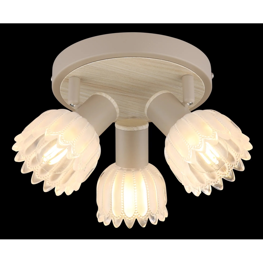 Globo - Candeeiro de focos 3xE14/40W/230V