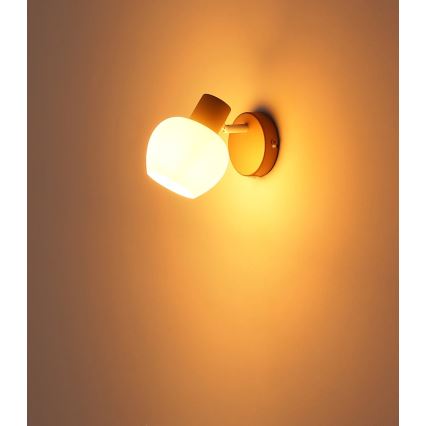 Globo - Spot de parede 1xE27/40W/230V
