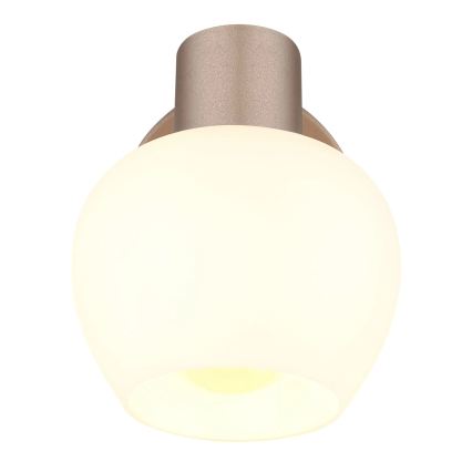 Globo - Spot de parede 1xE27/40W/230V