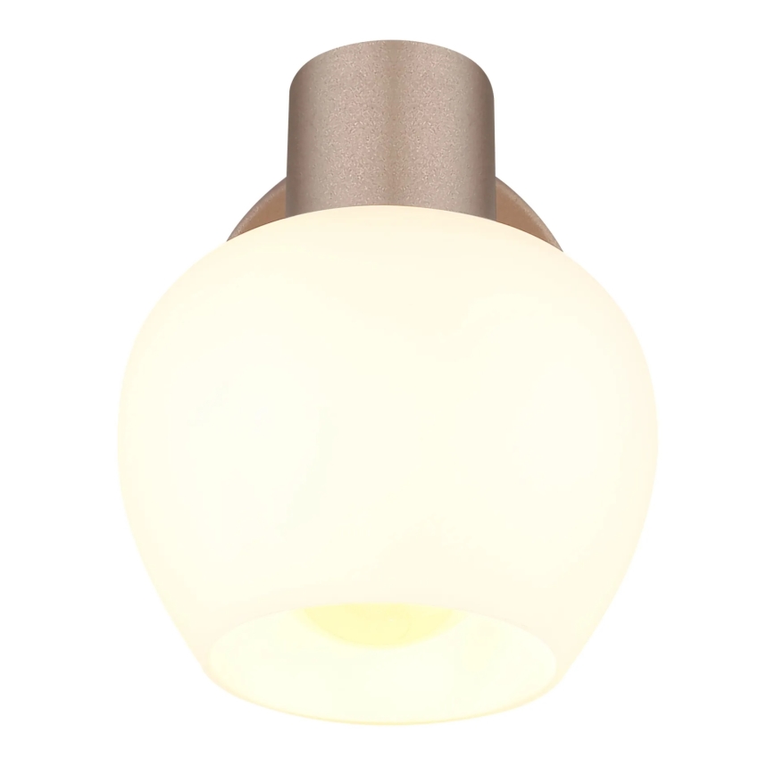 Globo - Spot de parede 1xE27/40W/230V