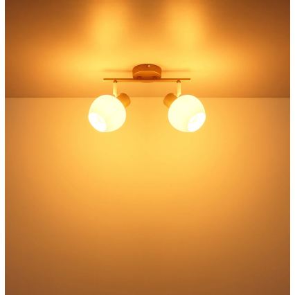 Globo - Candeeiro de focos 2xE27/40W/230V