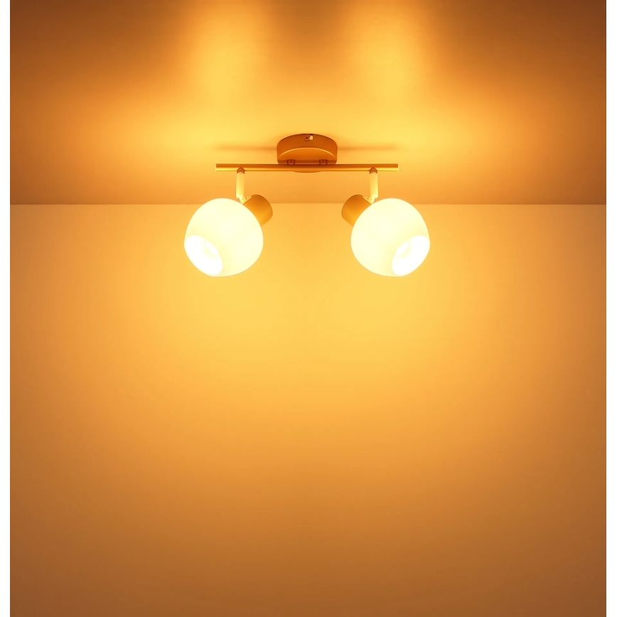 Globo - Candeeiro de focos 2xE27/40W/230V