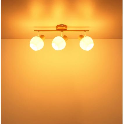 Globo - Spot direcional 3xE27/40W/230V
