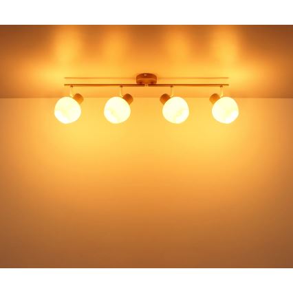 Globo - Candeeiro de focos 4xE27/40W/230V