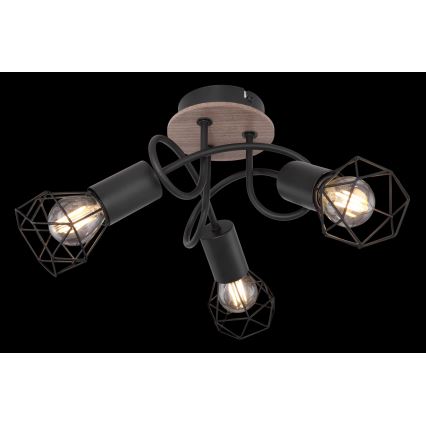 Globo - Candelabro montado à superfície 3xE14/40W/230V