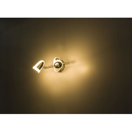 Globo - Foco LED 2xLED/5W/230V
