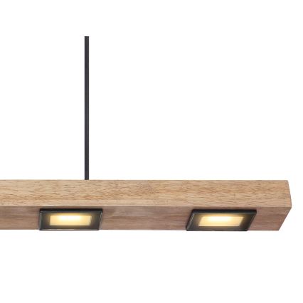 Globo - Candelabro suspenso LED 6xLED/5W/230V