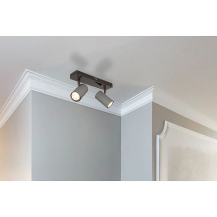 Globo - Foco 2xGU10/25W/230V