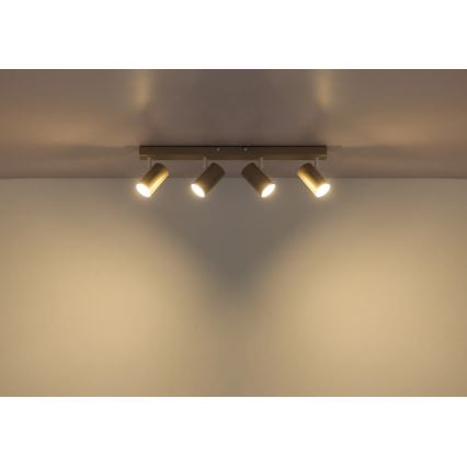 Globo - Candeeiro de focos 4x GU10/35W/230V