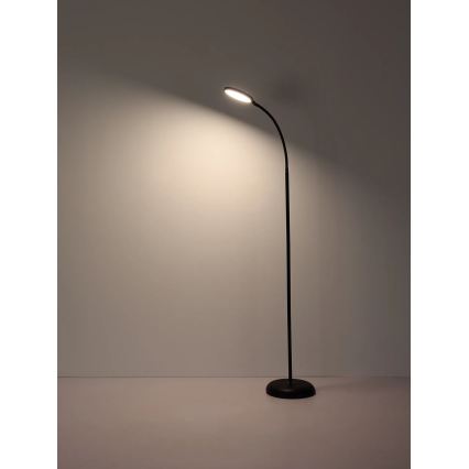Globo - Candeeiro de pé tátil regulável LED/8W/230V 2700K/4000K/6500K preto