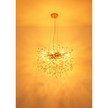 Globo - Lustre suspenso por cabo 8xE14/40W/230V dourado