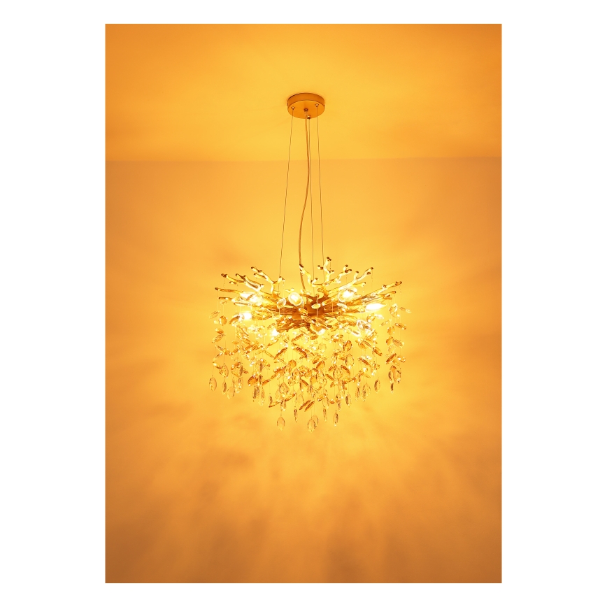 Globo - Lustre suspenso por cabo 8xE14/40W/230V dourado