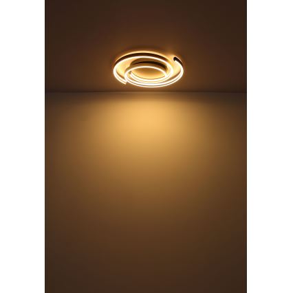 Globo - Iluminação de teto LED LED/38W/230V