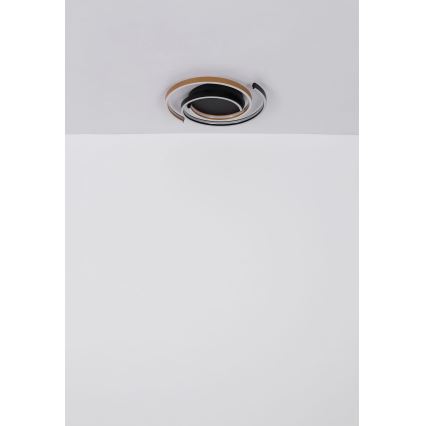 Globo - Iluminação de teto LED LED/38W/230V