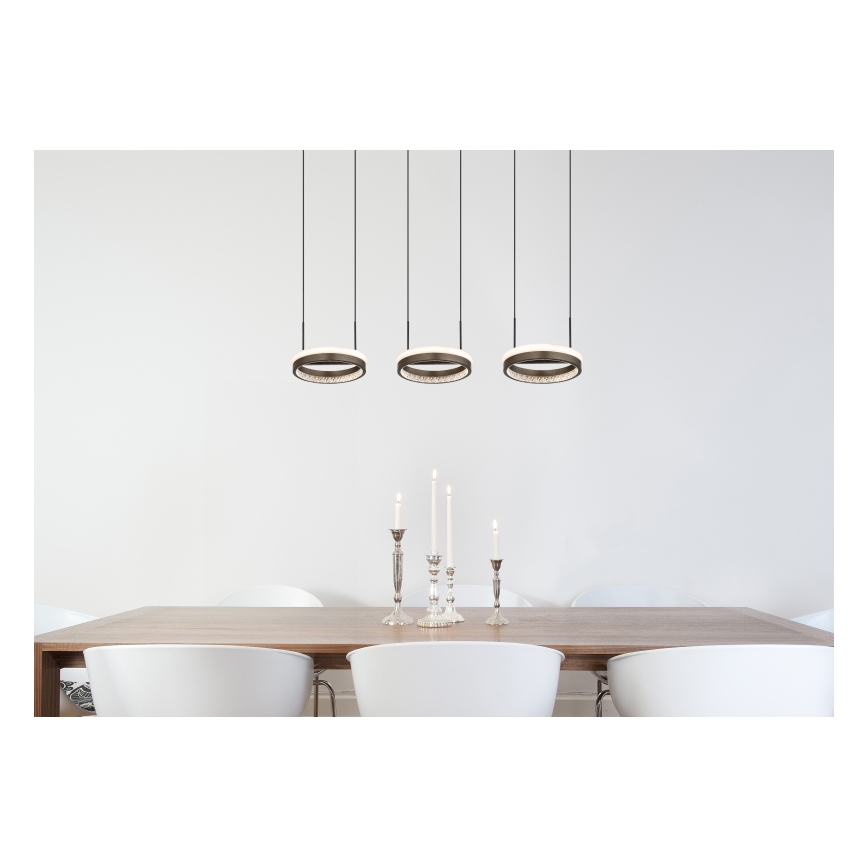 Globo - Lustre LED suspenso em cabo LED/40W/230V 3000/4000/6000K